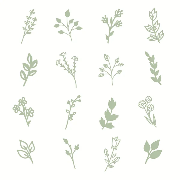 Yaban çiçekleri ve çiçek koleksiyonu çizim çizgisi çiziyor. İzole edilmiş basit yeşil bitkiler ve beyaz arkaplanda ana hatlar biçiminde yapraklar