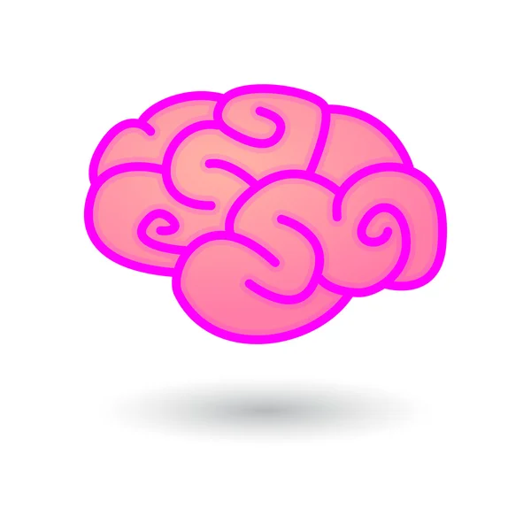 뇌 그림 — 스톡 벡터