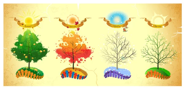 Yaz, Sonbahar, kış ve Bahar