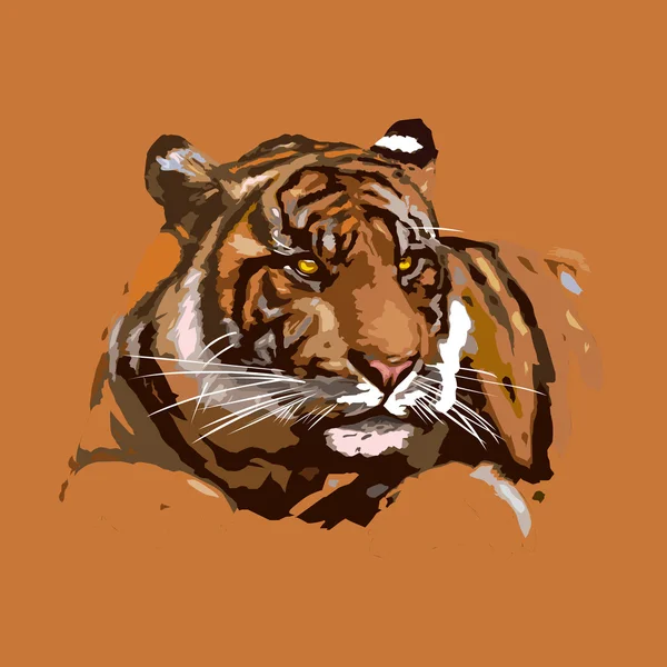 Tigre, faune — Image vectorielle