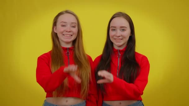 女性白人の双子がカメラの笑顔を見て手でハート型を作っています。明るい若い美しい女性の肖像画は、おもちゃの笑顔で黄色の背景にポーズをとります。愛と統一の概念. — ストック動画