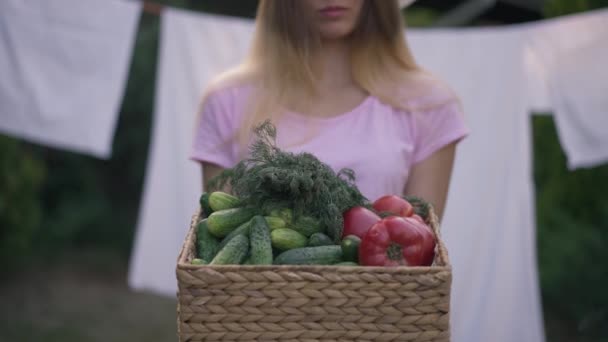 用成熟的有机西红柿黄瓜和绿色在白人女性手中的特写篮子。在后院洗衣店烘干的背景下，一个模糊的女青年摆出农村收获的架势，难以辨认. — 图库视频影像