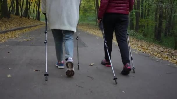 ライブカメラは 2人の認識できない女性の足のポールを屋外で散歩に続く 秋の公園を歩く自信のある大人の友人のバックビュー ノルディックウォーキング — ストック動画