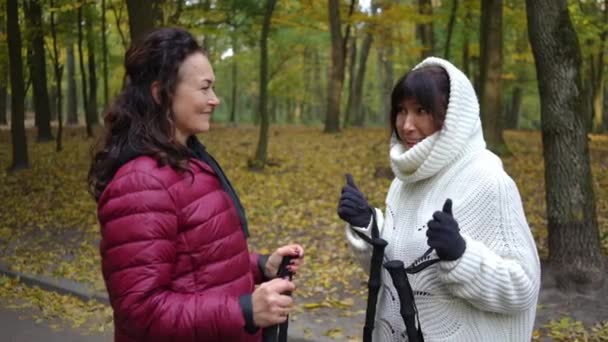 Seitenansicht Fröhliche Kaukasische Reife Frauen Gestikulieren High Five Stehen Herbst — Stockvideo