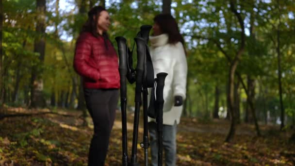 Pólos Close Para Caminhada Nórdica Floresta Com Mulheres Maduras Desfocadas — Vídeo de Stock