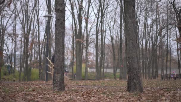 Wide Shot Cloudy Autumn Park Smiling Talented Painter Strolling Easel — Vídeos de Stock