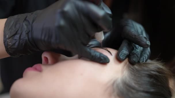Micro Blading Tattooing Female Eyebrow Microblading Pen Beauty Salon Close — Stock video