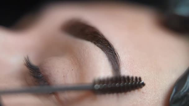 Rack Focus Eyebrow Permanent Makeup Brush Moving Raising Hair Slow — Vídeos de Stock