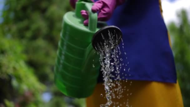 Close Refreshing Water Flowing Out Watering Can Slow Motion Outdoors — Video