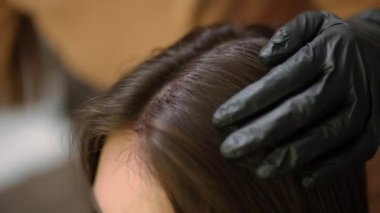Close-up separating hair strands with comb and applying of white mousse in head skin. Unrecognizable Caucasian brunette lady receiving beauty treatment in hair salon indoors