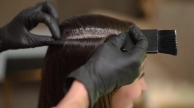 Side view head of woman with trichologist applying moisturizer with brush separating strands of hair. Caucasian young lady undergoing treatment of damaged hair in beauty parlor indoors