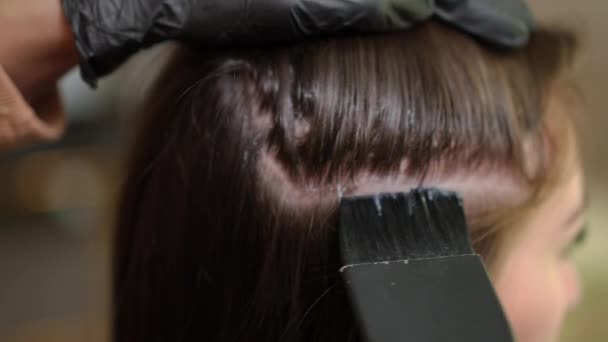 Close Side View Female Head Hairstylist Applying White Moisturizing Conditioner — Vídeo de Stock