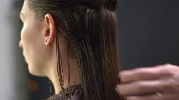 Close Combing Drying Laminated Brunette Long Hair Slow Motion Indoors — Vídeos de Stock