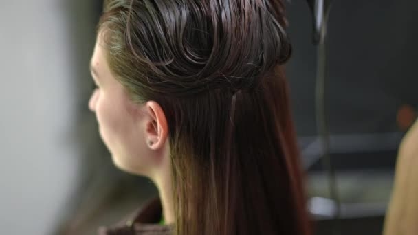 Hairdresser Hair Dryer Drying Long Brunette Laminated Hair Client Slow — Vídeos de Stock