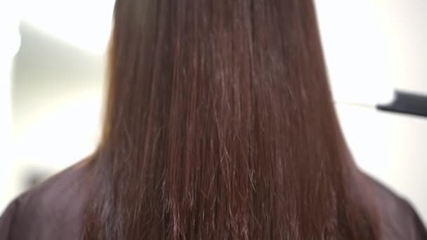 Laminated Brunnet Long Hair Comb Shaking Slow Motion Unrecognizable Slim — Vídeos de Stock