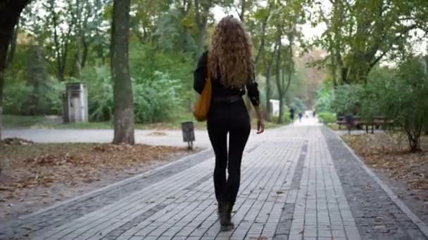 Vista Posterior Joven Mujer Delgada Confiada Caminando Parque Primavera Otoño — Vídeo de stock