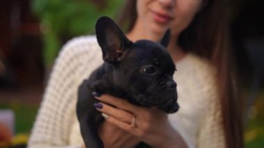 Açık havada tanınmayan genç beyaz bir kadının ellerinde siyah sevimli Fransız Bulldog köpeği. Meraklı küçük bir köpeğin portresi. Bahçede sahibinin keyfine bakıyor.