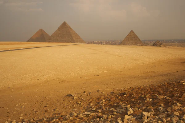 Piramidi di Giza — Photo