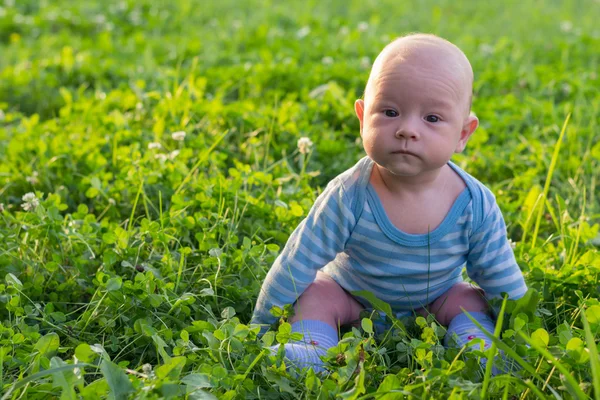 Bébé de 4 mois dans l'herbe — Photo