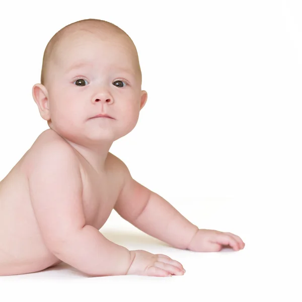 Младенец на белом фоне — стоковое фото