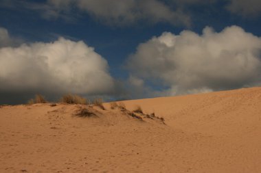 Dune Kum Çölü'nde