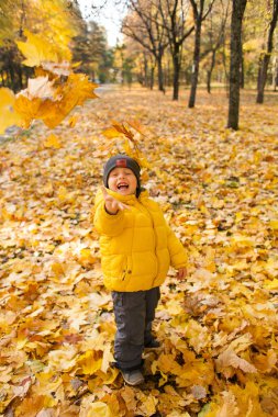 Sonbahar parkında sarı akçaağaç yaprakları fırlatan ve gülümseyen sevimli erkek bebek.