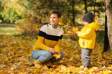 Mutlu anne ve küçük oğlu sonbahar parkında sarı akçaağaç yapraklarını birleştirip eğleniyorlar.