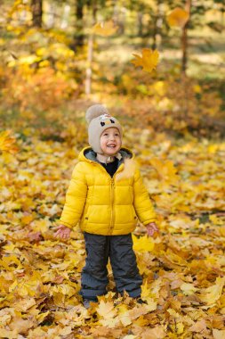 Güz parkında sarı akçaağaç yaprakları fırlatan örülü şapkalı tatlı çocuk.