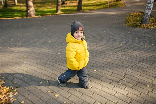 Милый Мальчик Гуляющий Осеннем Парке Улыбающийся Камеру — стоковое фото