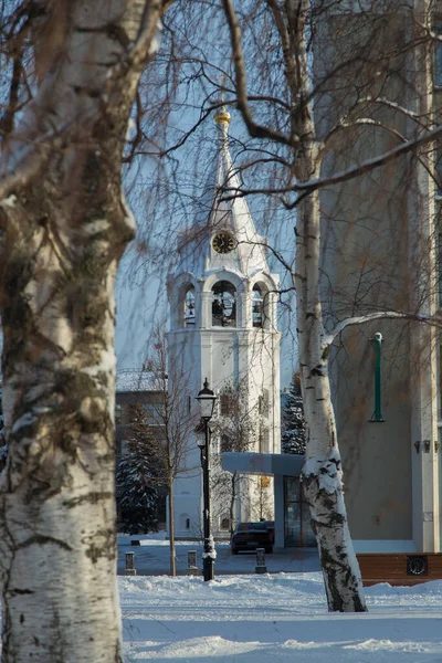 Dzwonnica Spaso Preobrazhenskiy Kremlu Niżny Nozgorod Zimowy Krajobraz Śnieżnymi Drzewami — Zdjęcie stockowe