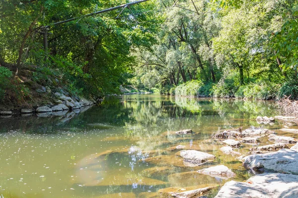 View River Flowing Forest Reflected Water — 스톡 사진