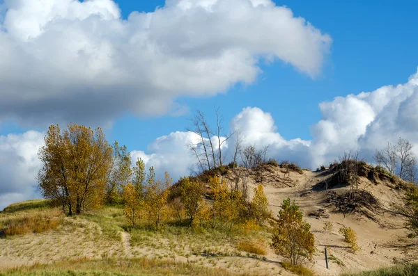 워렌 모래 언덕 주립 공원에서가 언덕 — 스톡 사진