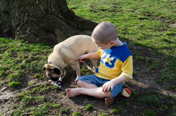 Çocuk, pug köpek ve dondurma — Stok fotoğraf