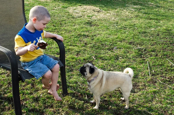 Küçük çocuk evde beslenen hayvan pug köpek ve dondurma ile — Stok fotoğraf