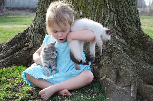 Petite fille blonde avec bras de chatons — Photo