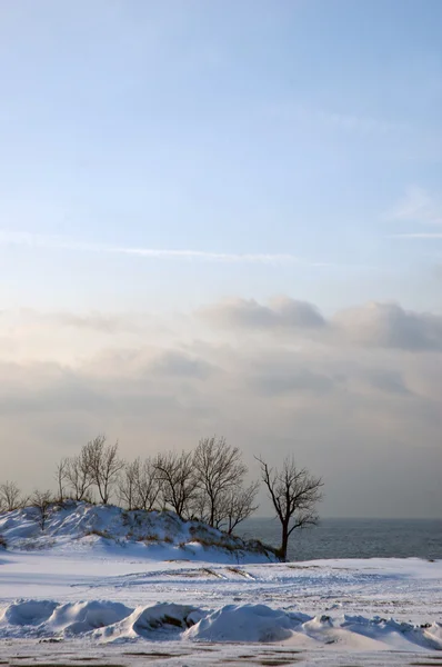 Frosted dunes at Warren Dunes state park — Stock Photo, Image