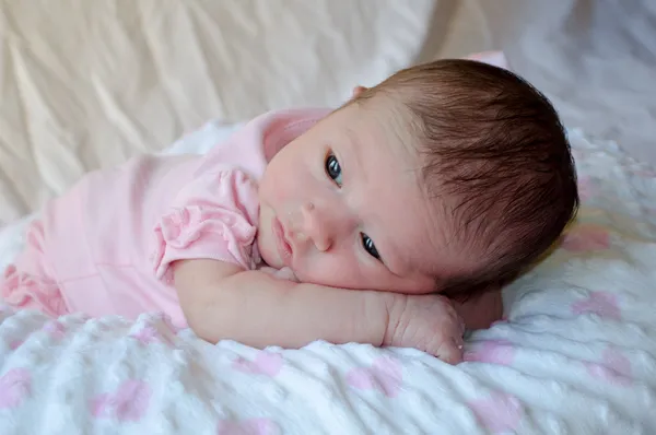 New born baby portrait — Stock Photo, Image