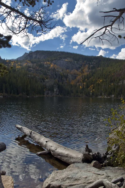 Log on bear lake in rocky mountain park — Stock Photo, Image