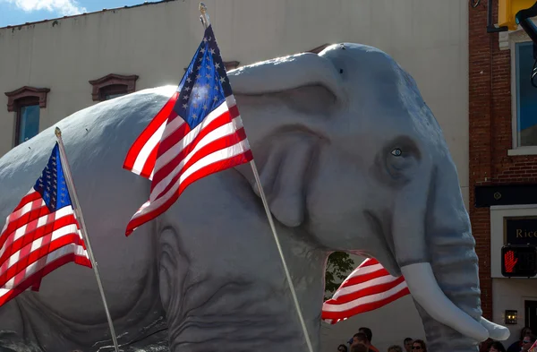 Banderas americanas y elefante — Foto de Stock