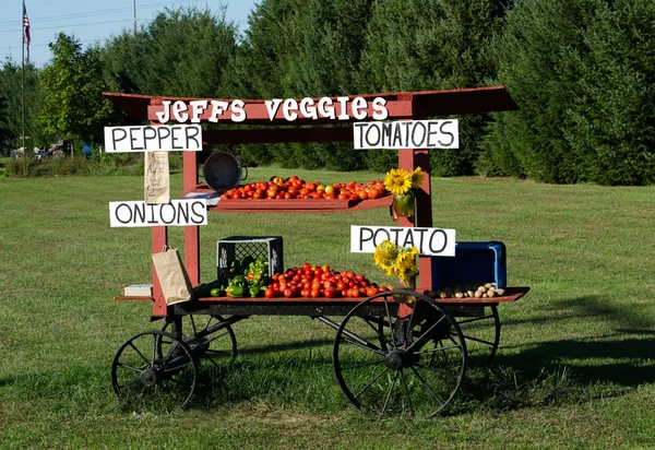 Farma ovoce a zeleniny stojan — Stock fotografie