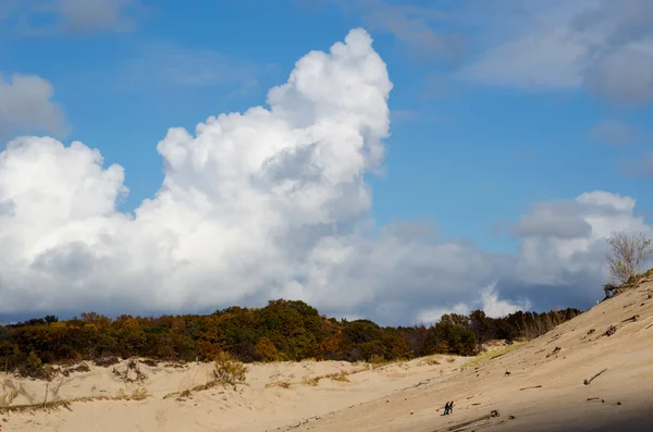 Färgglada dunes state park — Stockfoto
