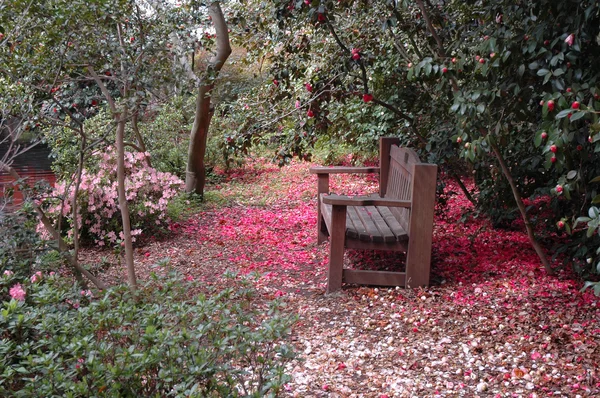 Park bench on a carpet of pink — Stock Photo, Image
