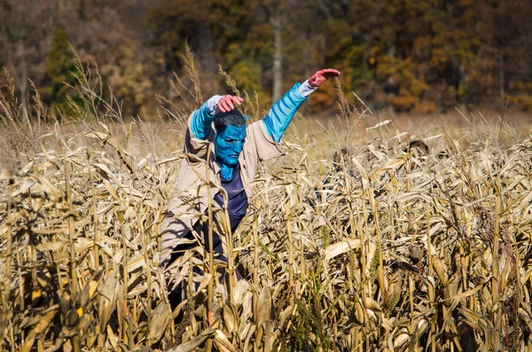 Голуболицый монстр пугает ворона на кукурузном поле — стоковое фото