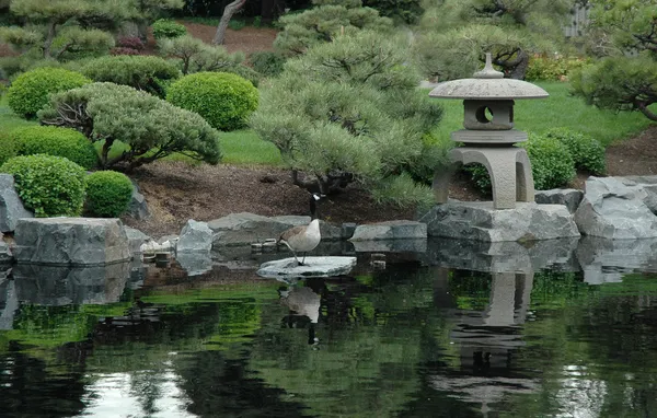 Zen orientalischer Garten — Stockfoto