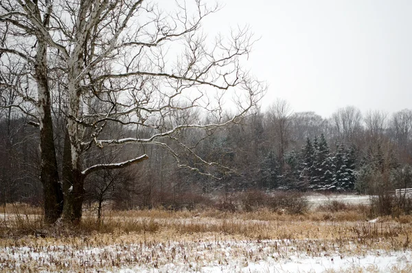 Bellissimo paesaggio invernale — Foto Stock