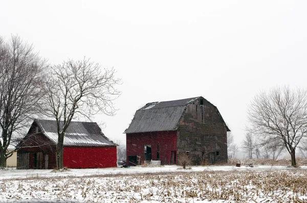 Rustic barns in a Michigan snow storm — Stock Photo, Image