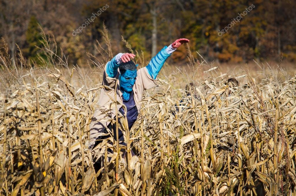 Blue faced monster scare crow in corn field Stock Photo by ©inyrdreams 30765405