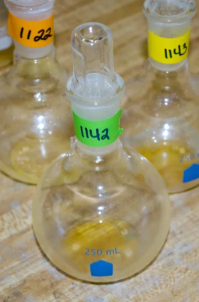 Lab flaskor med prover — Stockfoto