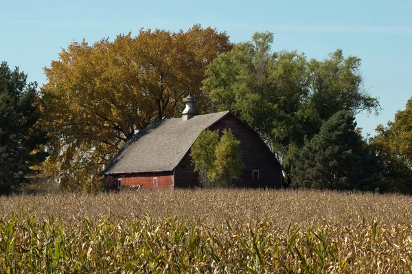 Rustik bir Michigan Mısır tarlasında sonbahar ahırda — Stok fotoğraf