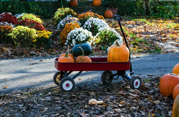 Kırmızı vagon pumpkins tam — Stok fotoğraf